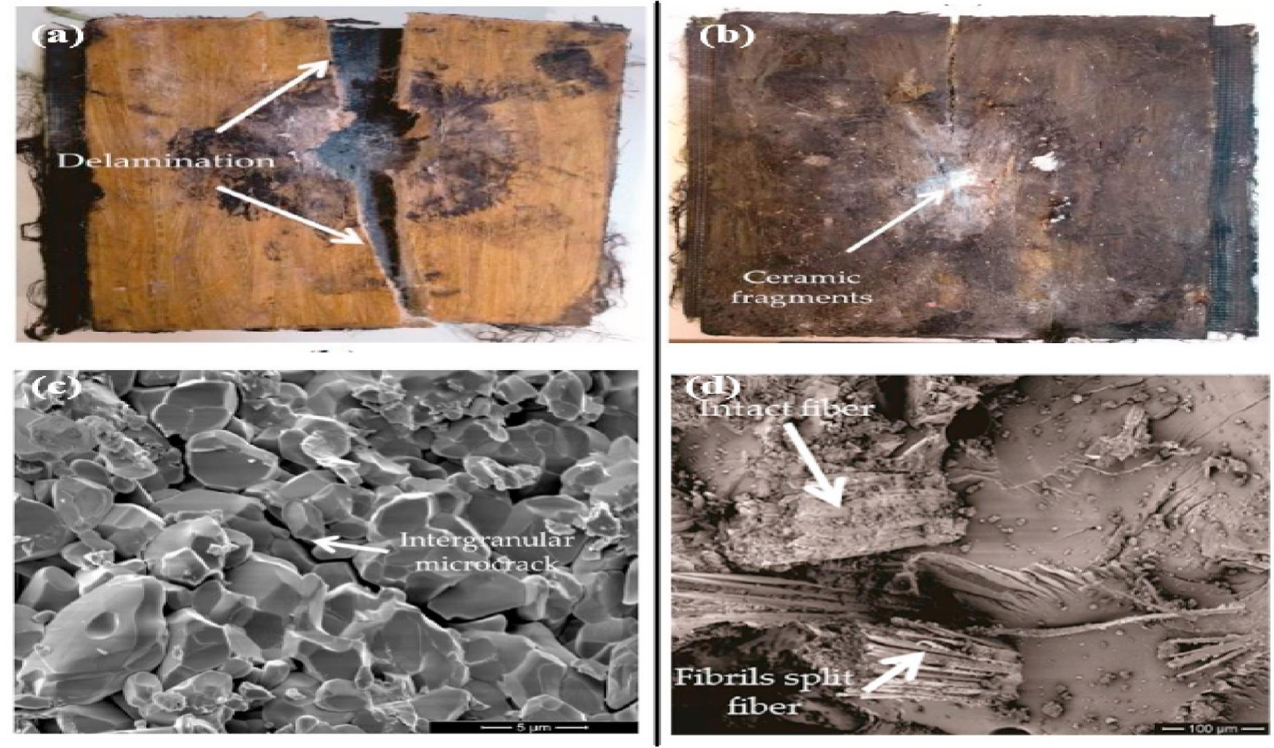 (PDF) A review of properties and fabrication techniques of fiber ...