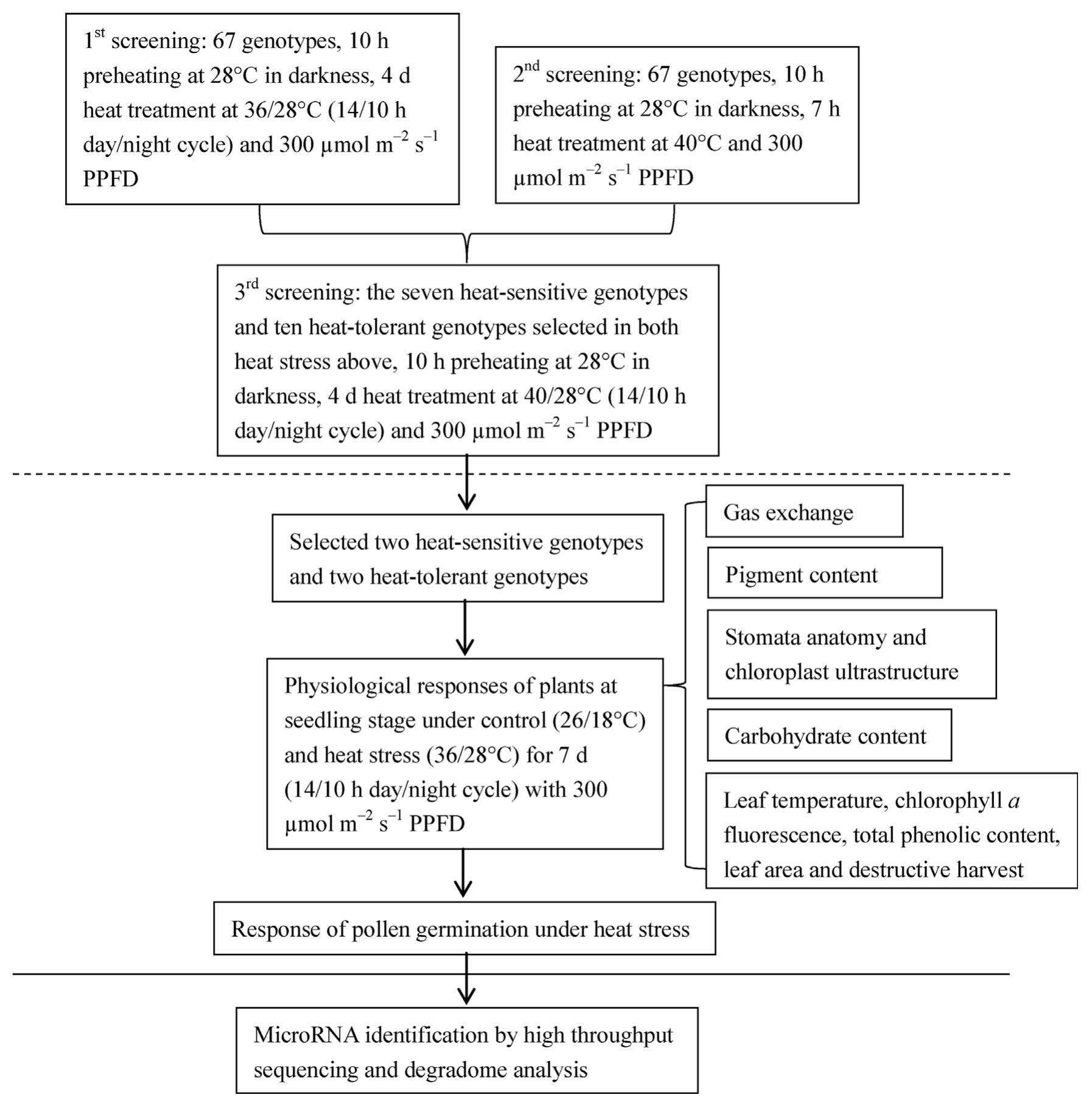 (PDF) Screening and validation of tomato genotypes under heat stress ...