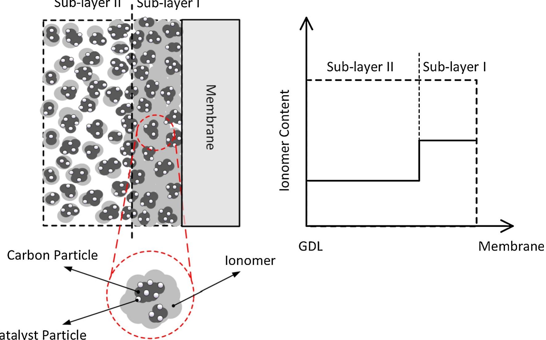 (PDF) Cathode catalyst layer design with gradients of ionomer ...