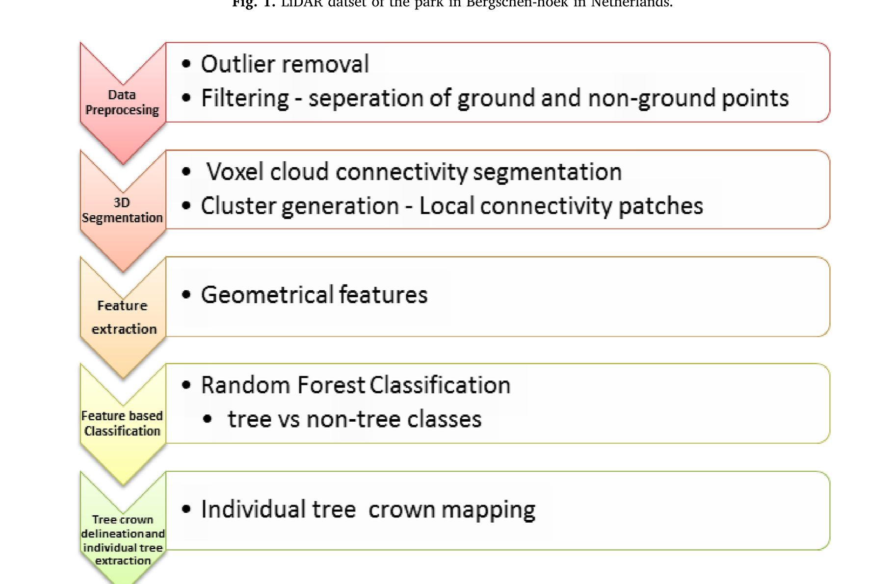(PDF) Individual tree detection from airborne laser scanning data based ...