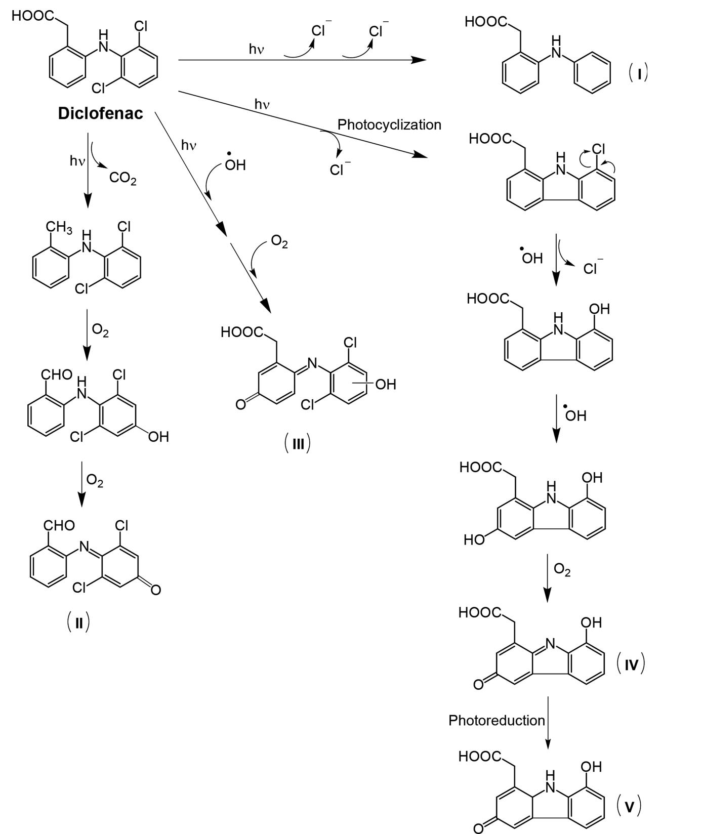 Photodegradation pathways of diclofenac showing degradation