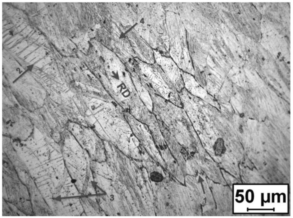 Optical micrograph of 70% coldworked microstructure.