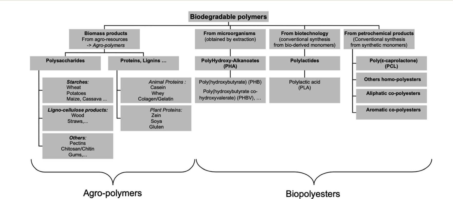 Main biodegradable polymers classification.*° method is used