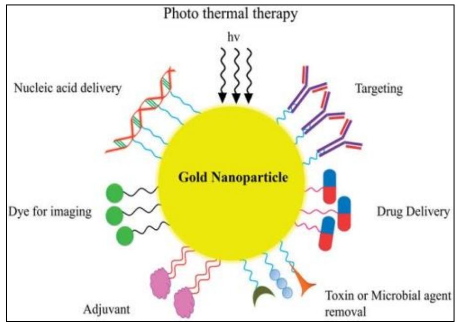 (PDF) A Review on Theranostics: An Approach to Targeted Diagnosis and ...