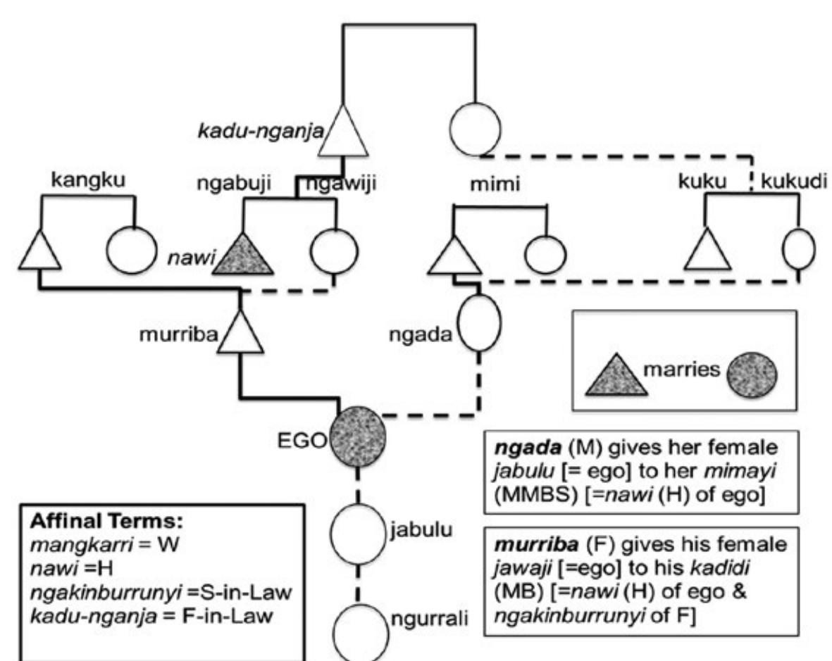 (PDF) Asymmetrical Distinctions in Waanyi Kinship Terminology