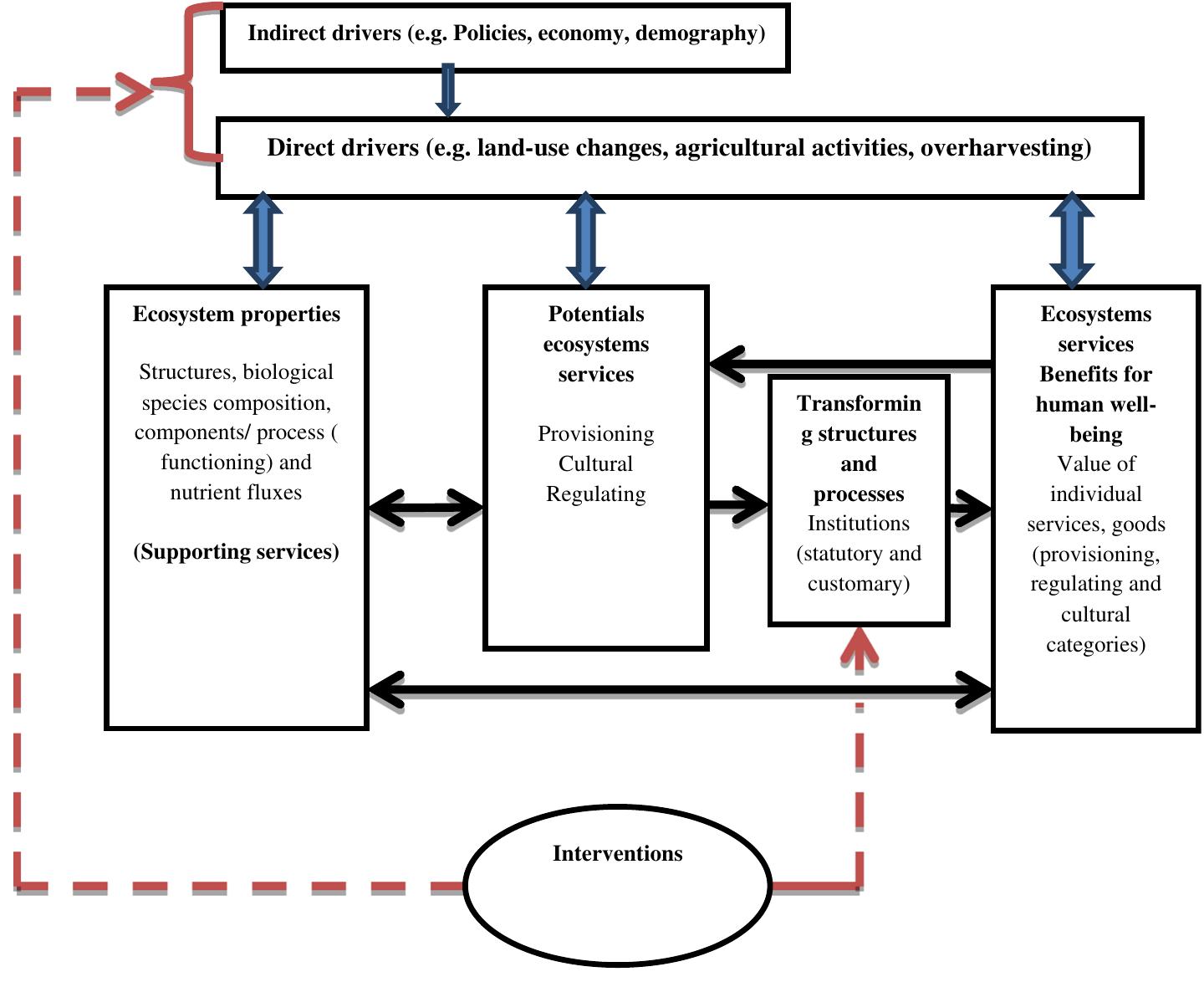 (PDF) A conceptual framework for understanding forest socio-ecological ...