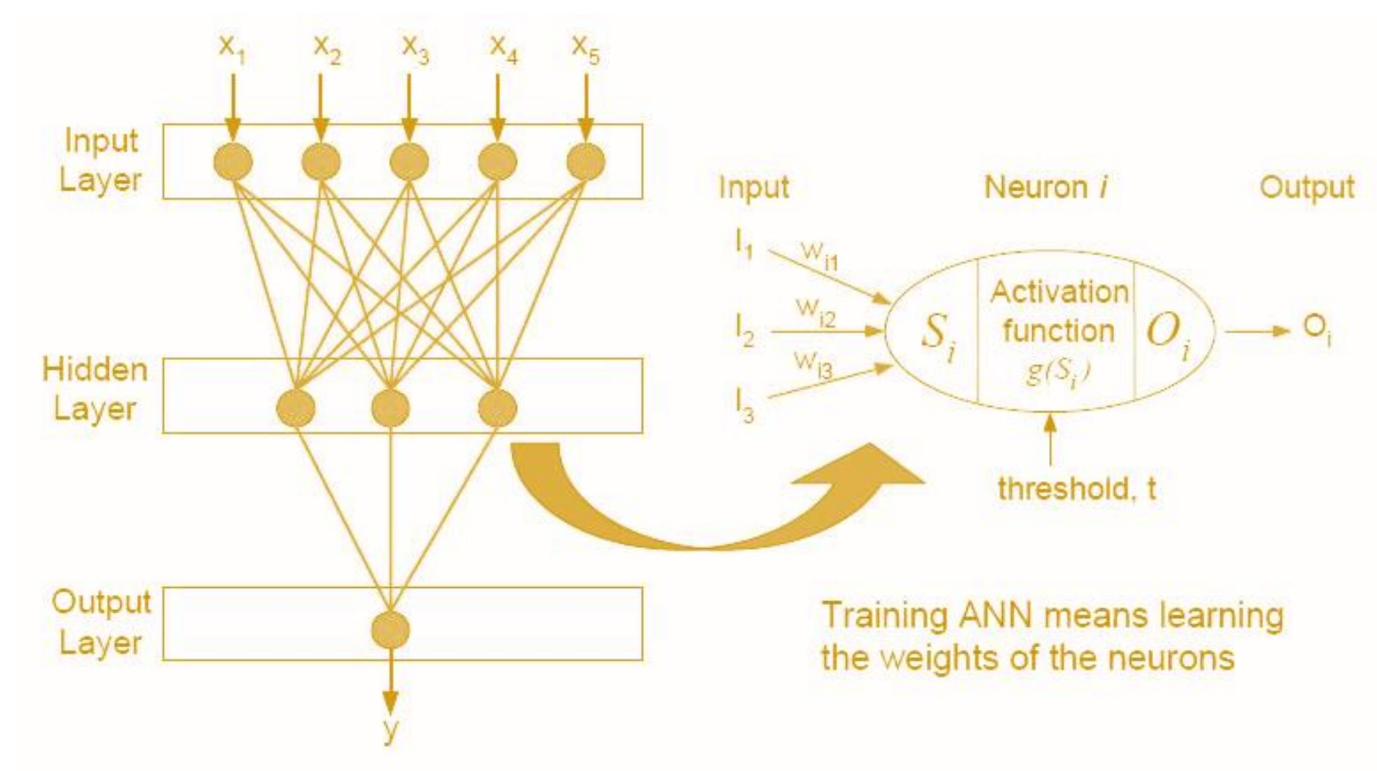 Structure of typical mlp artificial neural network.