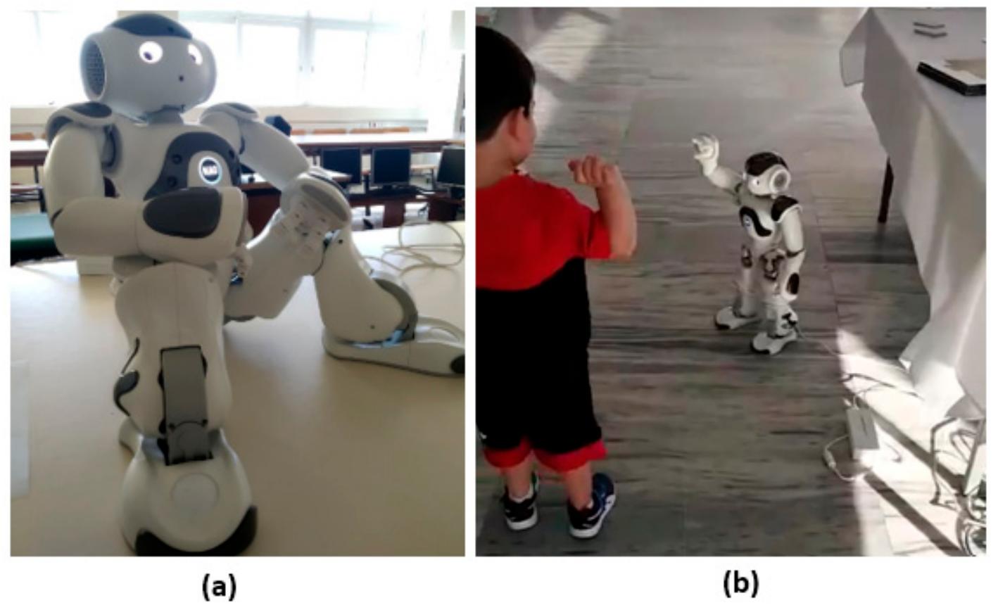 (PDF) Emotion Recognition in Human–Robot Interaction Using the NAO Robot