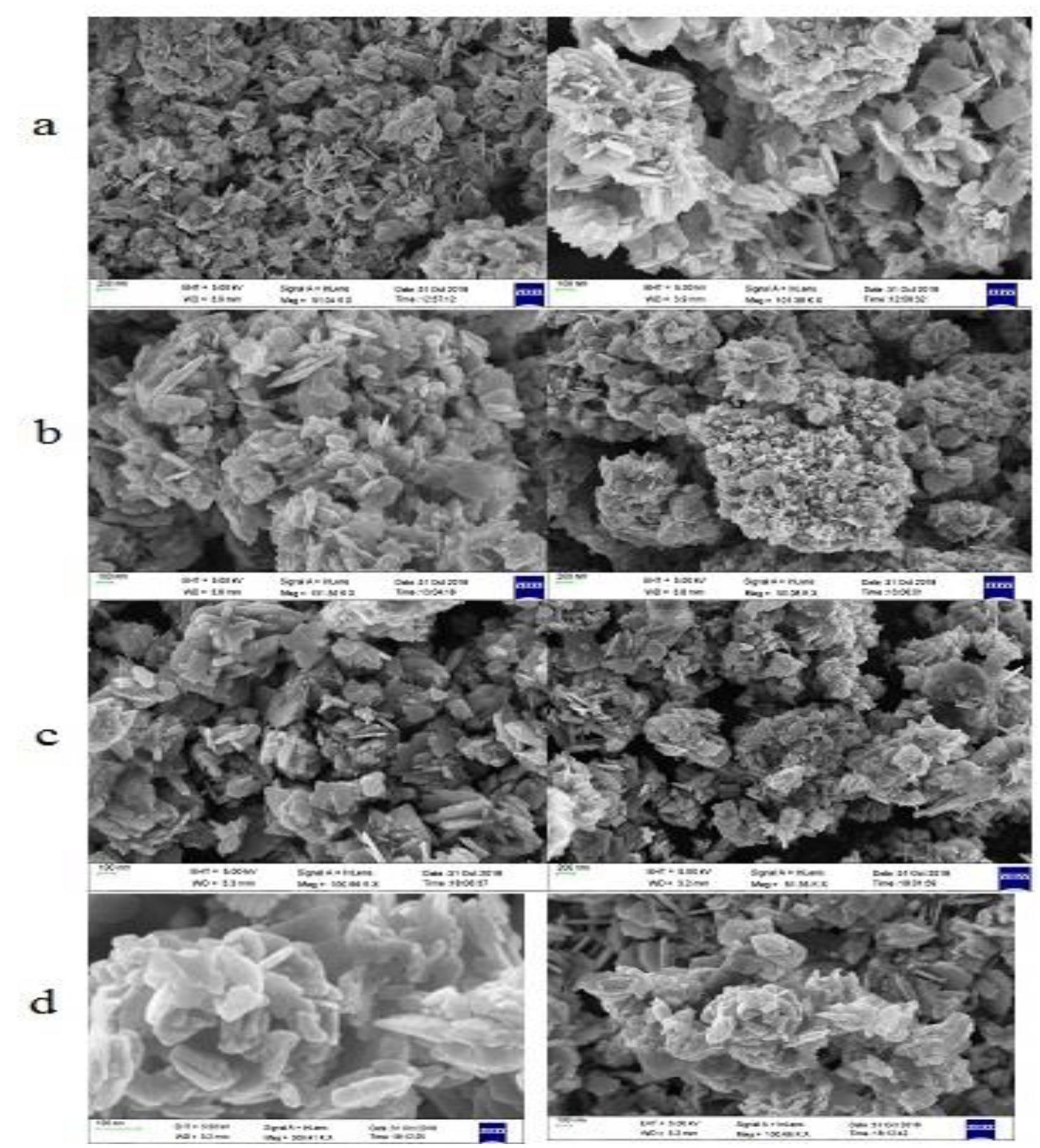 Fe-sem spectra of zno nps at 400 °c annealed temperature