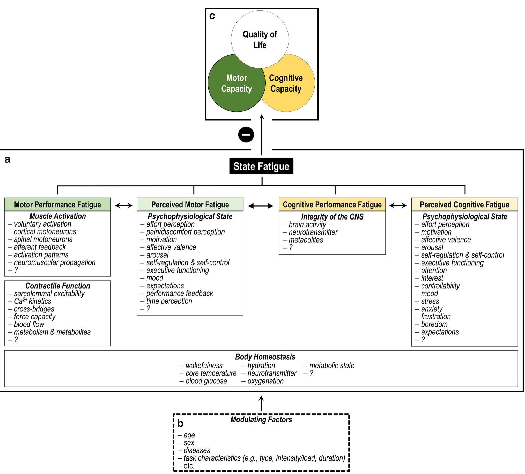 Fatigue Framework (PDF) Fatigue and Human Performance: An Updated Framework