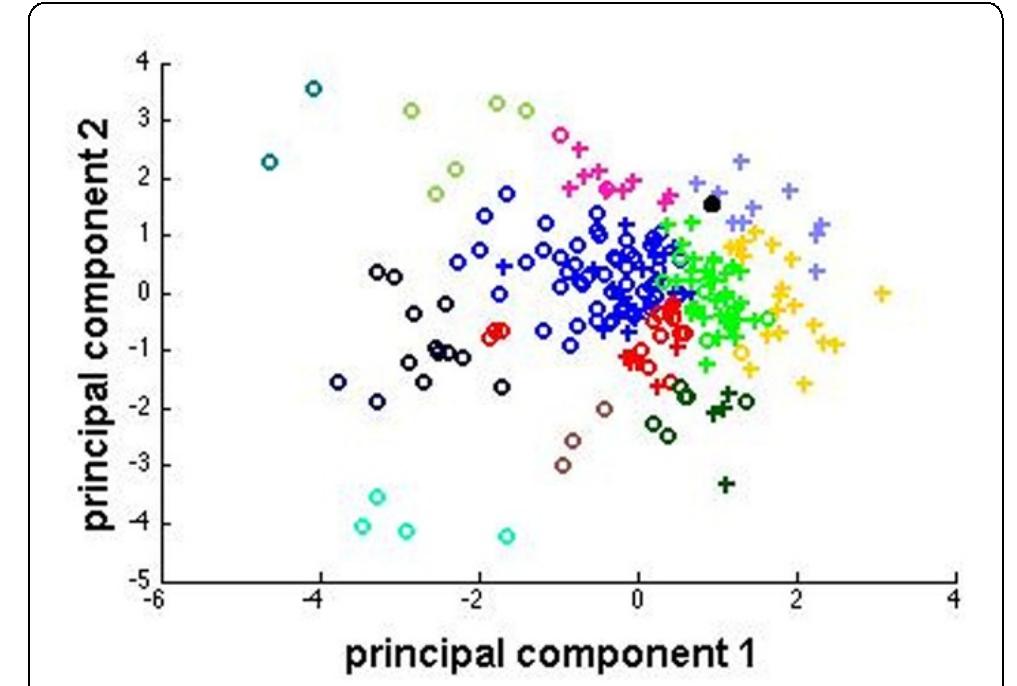 Shows 2d projection, using principal component analysis of