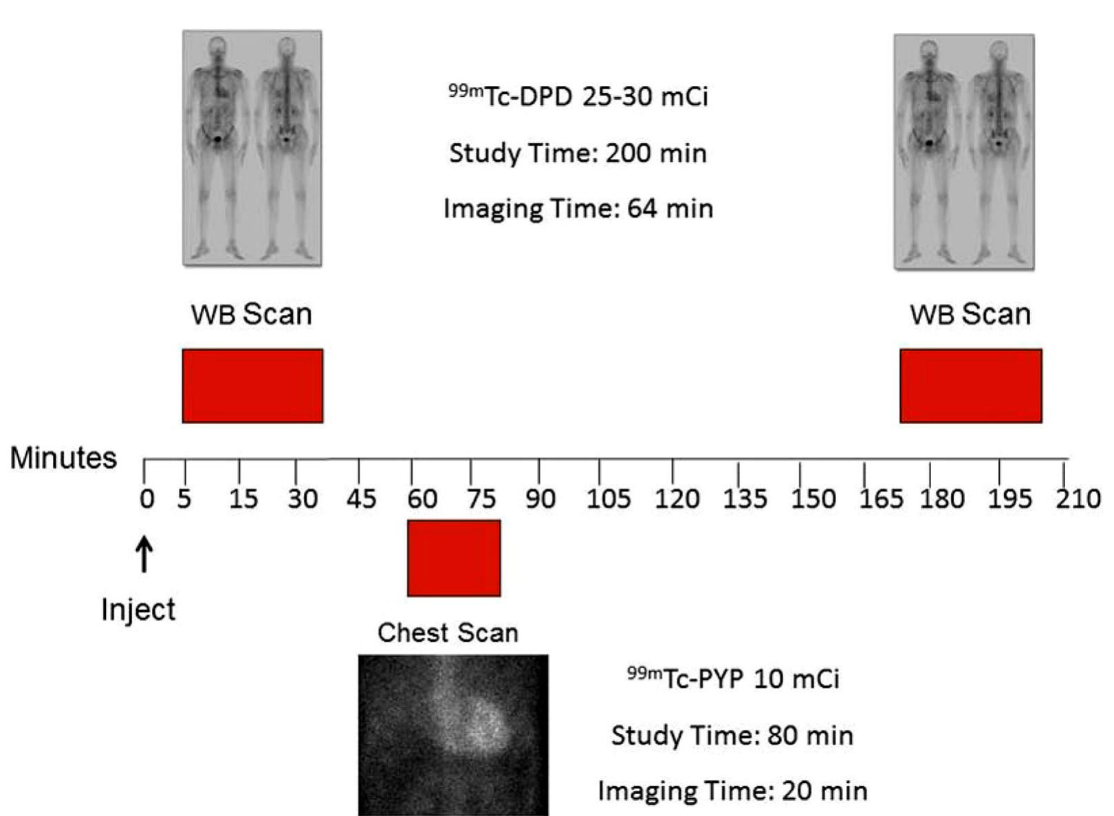 Pyp Scan Order (PDF) Standardization of 99mTechnetium pyrophosphate imaging ...
