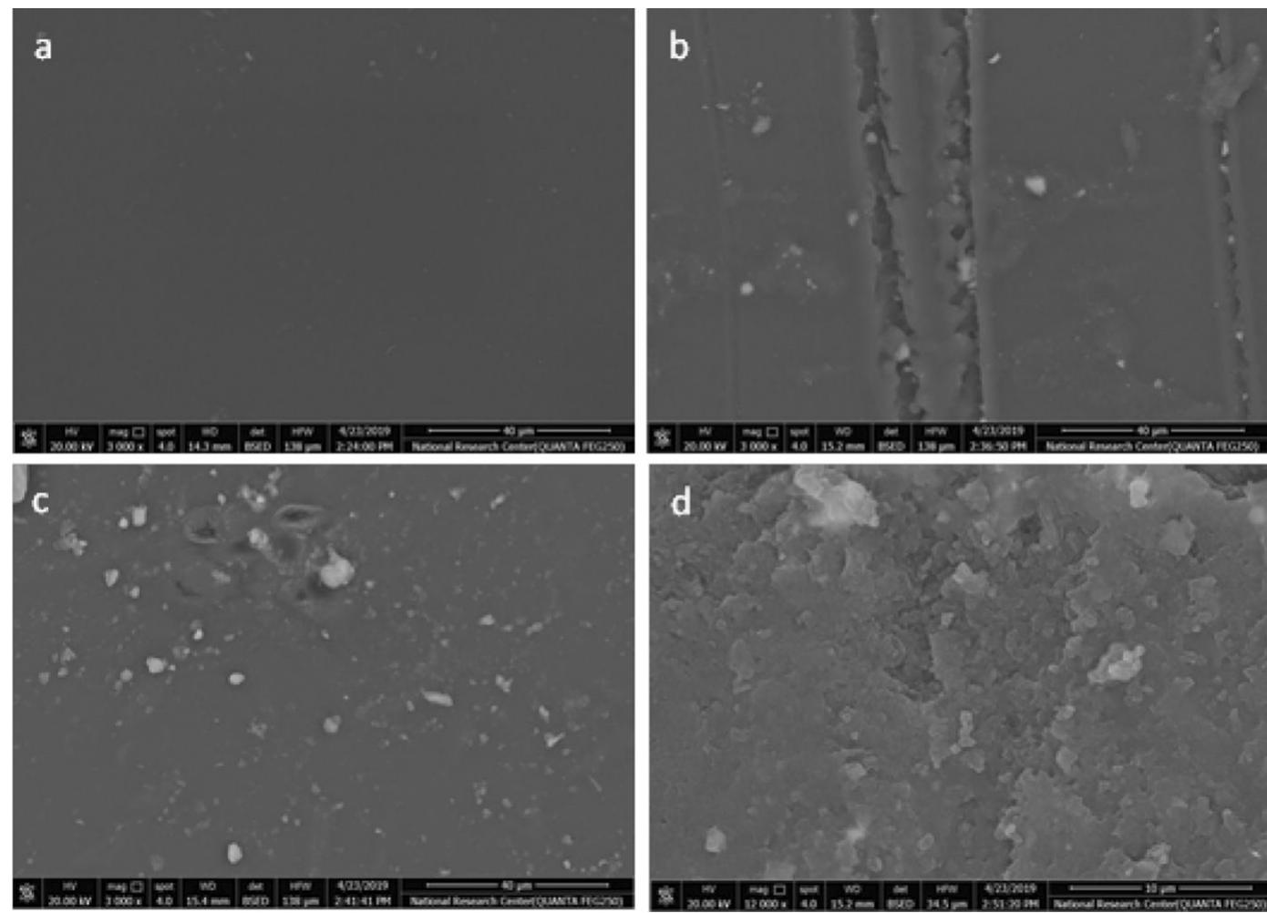 Scanning electron microscope images of the pristine pmma