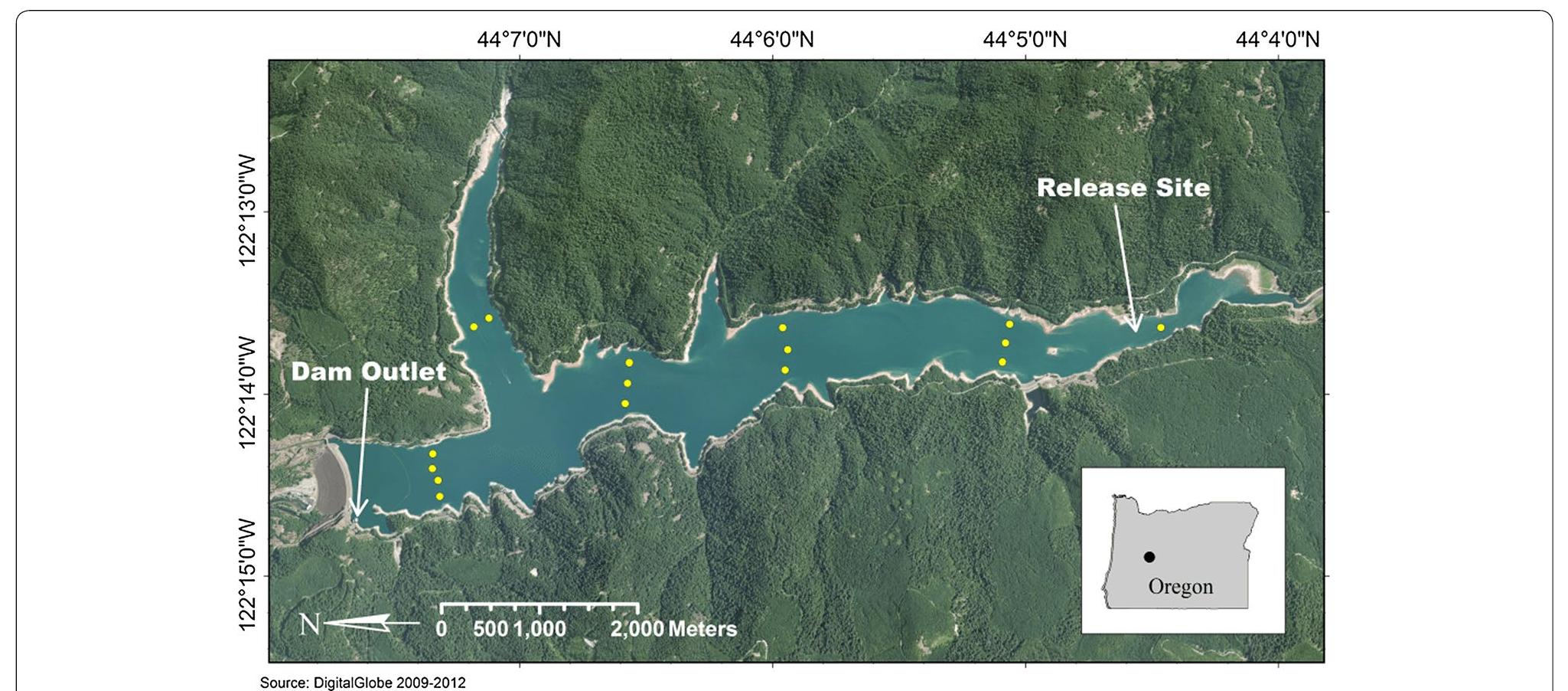 Figure 1 - from Observational data on the effects of
