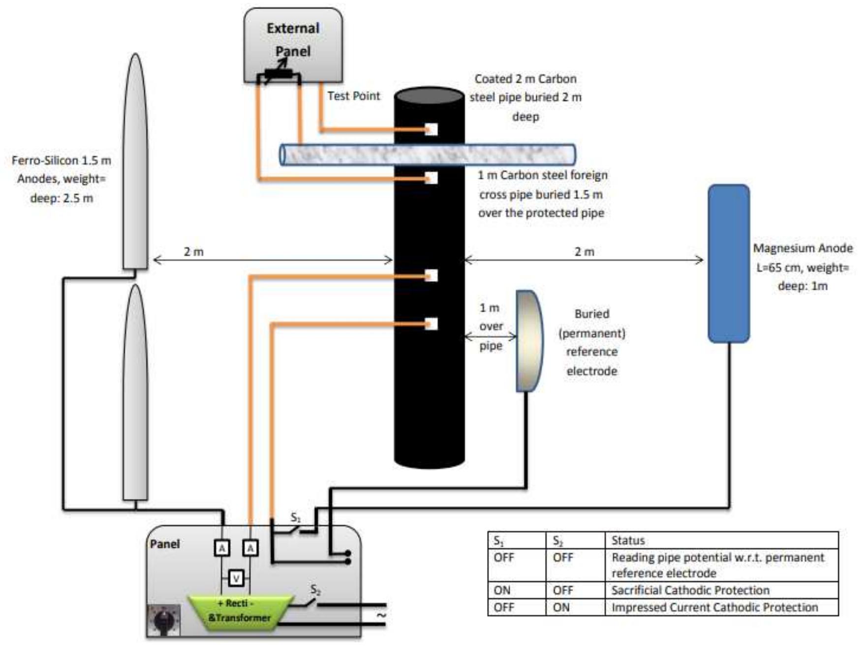 The schematic diagram of the entire cp cell respectively.