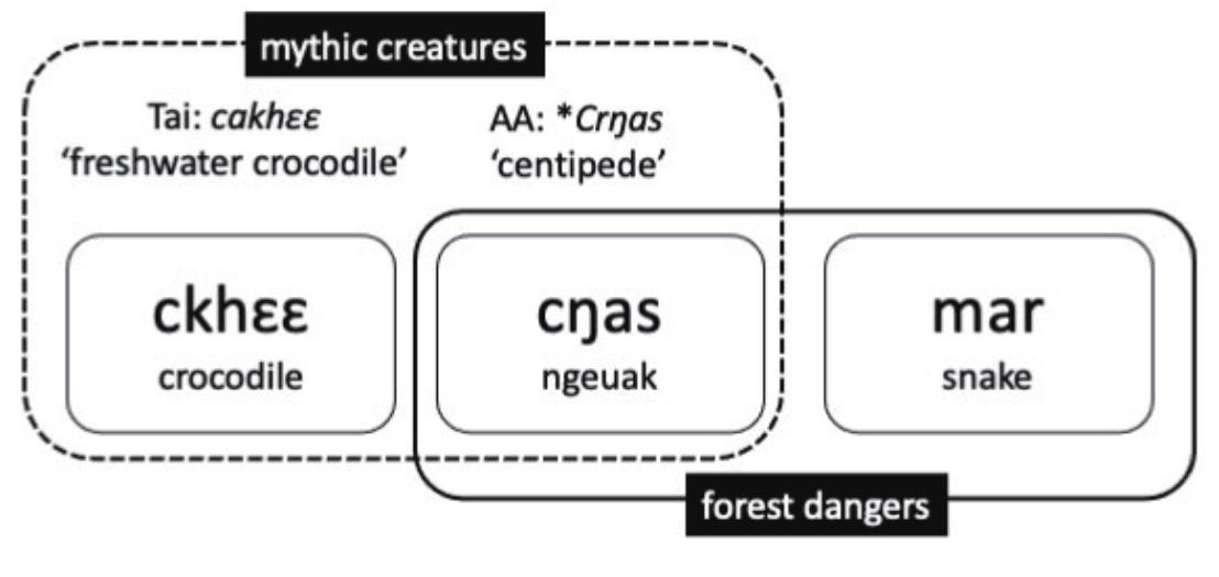 The history of cyas as a cultural notion can be traced through analysis of Bit folklore in contact with Tai and other groups. The contours of the cnas-ngeuak-pnaa naak conceptual landscape are drawn by the entanglements of ethnicity, ecology, knowledge and language. The term itself has a complex history of semantic and sound change, originating in a transportation of ‘centipede’ into a quasi-mythical space that is also populated with crocodiles. The original sense of the interim step cyas mar remains in the closely related languages of Phong and Ksingmul, where the local reflex of the terms still means ‘centipede’ and the category reminds us to watch where we step as we travel through the forest every day. Because ‘centipede’ came to be denoted with another term in Bit, smnaar, the previously known biological form has been released into the spirit world to reside in miay /um under the river. From this new abode, cyas is free to interact with humans in complex ways that mirror normal household relations while  maintaining the urgency of care and attention to the moral order of the forest. TW ee ee Se gee ees eeetaks hed 22eak ax 3 Ts AS Klacw Ss seek lees = ed cha  