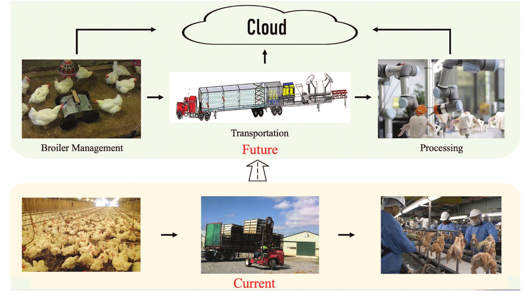 System Development Broiler (PDF) Artificial intelligence, sensors, robots, and transportation ...