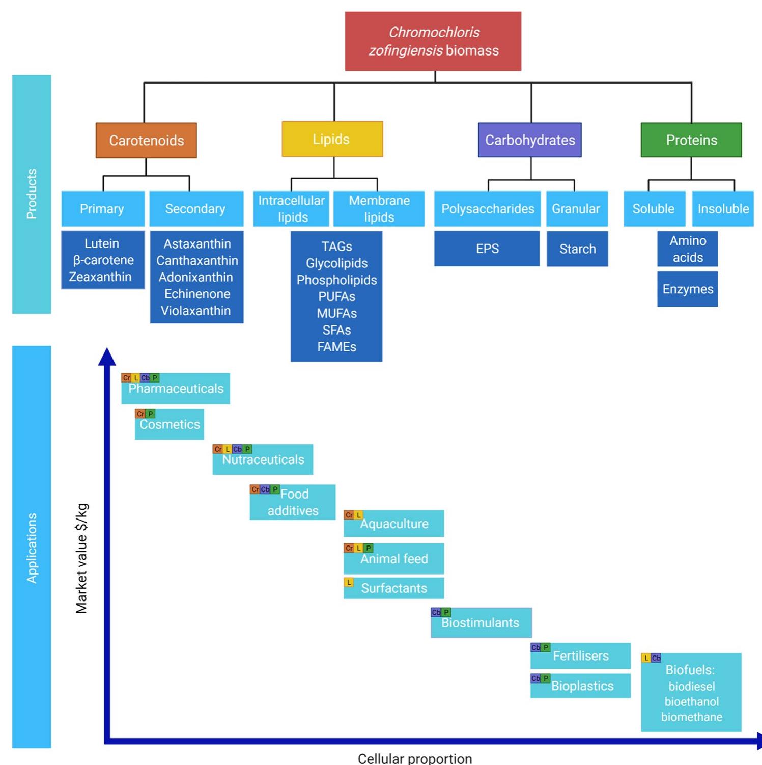 Biochemical analysis of C. zofingiensis has revealed an abundance of potential products (Fig. 2). Although many molecules carry value, their respective order of separation from the biomass should depend upon their concentration, properties, market value, and demand. The components that exist in lower concentrations tend to carry more value, 
