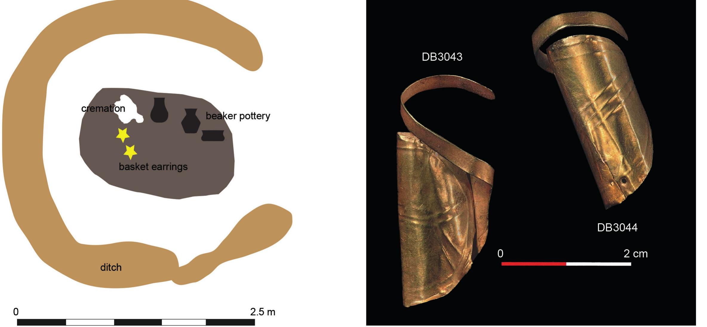 Fig. 1. Find circumstances of the Eelde — Groote Veen (DB3034-3044) gold ornaments (left: after Drenth & Schrijer 2015: 68, fig. 1, right; after Van Oortmerssen & De Vries 2015: 244 (photo: Frans de Vries, Toonbeeld).  The oldest prehistoric occurrences of gold in the Netherlands as yet are associated with Bell Beaker Culture period funerary practices. In terms of functional categories, all could represent ornaments. At both Beers - Gassel (DB3045; Verwers 1988) and Eelde - Groote Veen (DB3043- 3044; Tulp 2014), so-called ‘basket earrings’ were found. In both cases, a broader terminal of oblong (‘oar’; DB3045) or circular shape (DB3043- 3044) was decorated with incised lines (terminating in a 'Y' configuration). The Beers - Gassel (DB3045; Van der Beek 2004: 171-172 & 174) examples were moreover marked with punched-in dots on the terminal’s edge and the ‘stem’. The funerary association is robust: the Beers — Gassel examples were found — as dislocated dredging finds — presumably with a decorated bell beaker and an amber pendant (and possibly also 