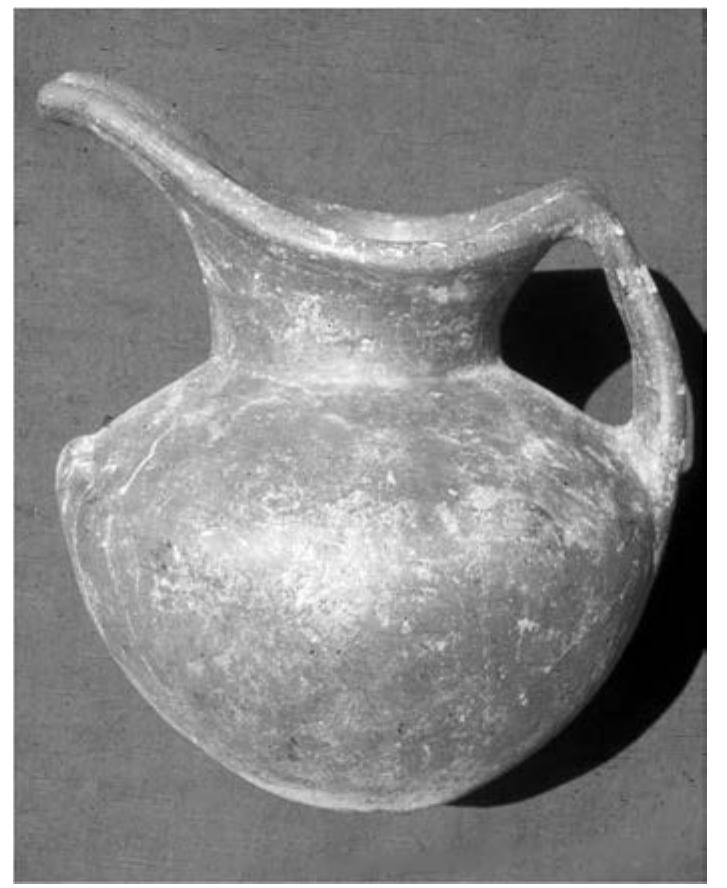 Fig. 9. Local red-slipped ware found in EBA II-III levels.  Fig. 8. North Syrian-style imported cups. 