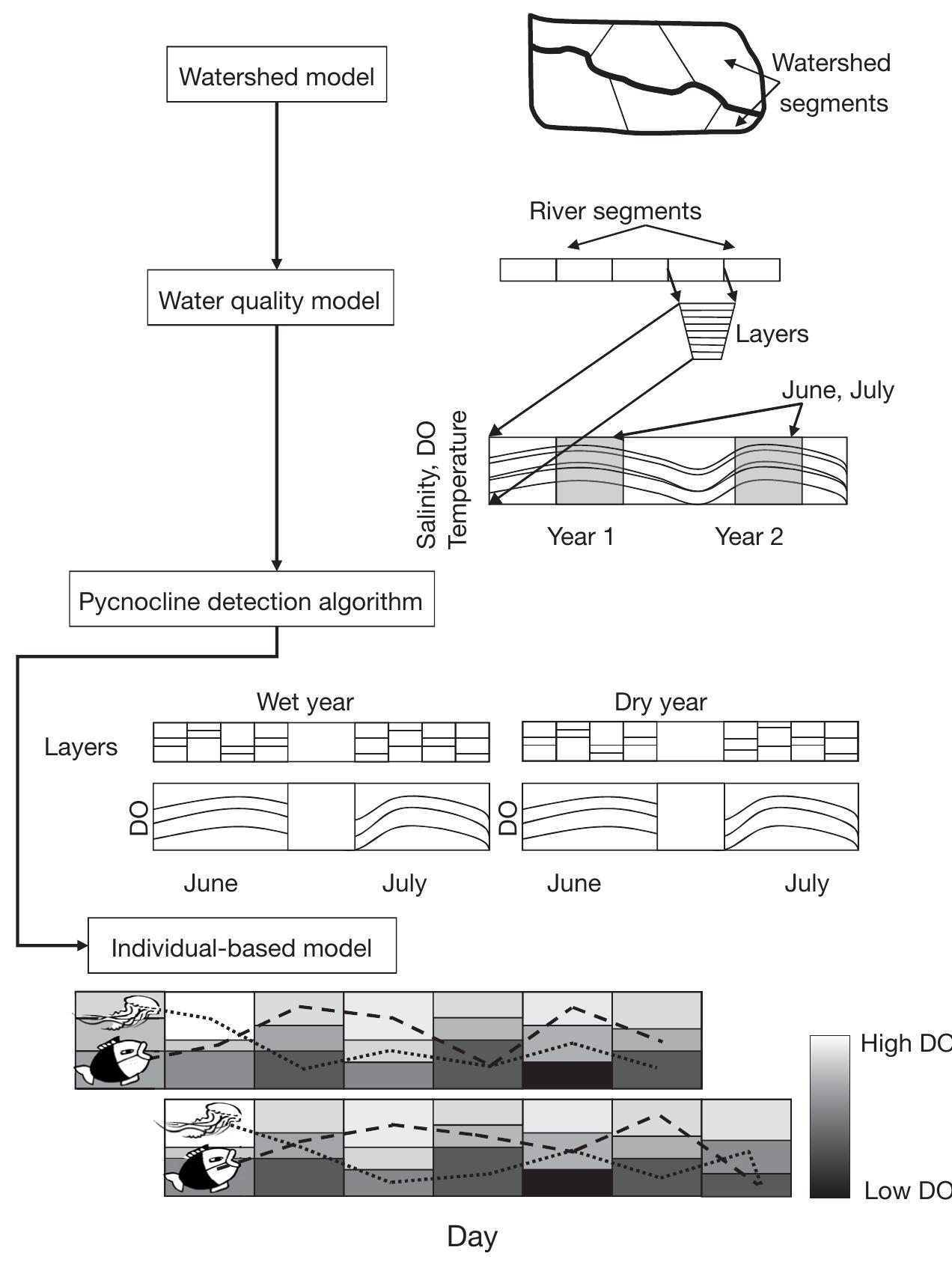 Pyc Algorithm Diagram (PDF) Simulating the effect of hypoxia on bay anchovy egg and larval ...