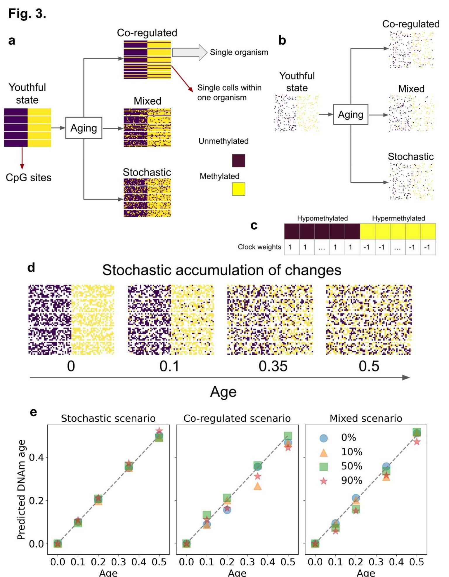 Dnam Three single-cell scenarios of dnam aging changes. a. an