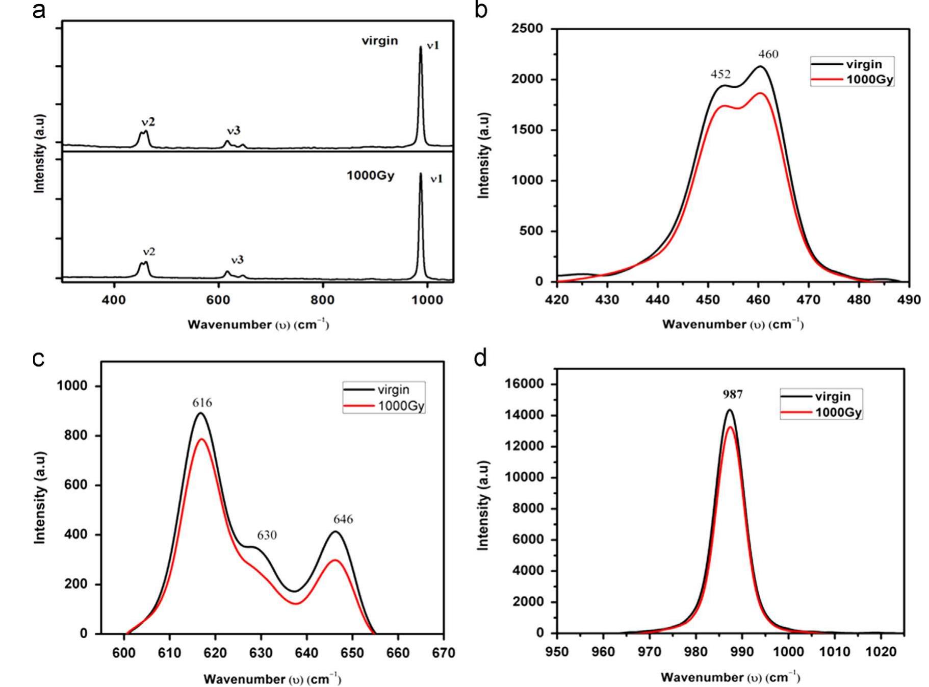 Curve (a) shows the raman spectra of virgin and irradiated