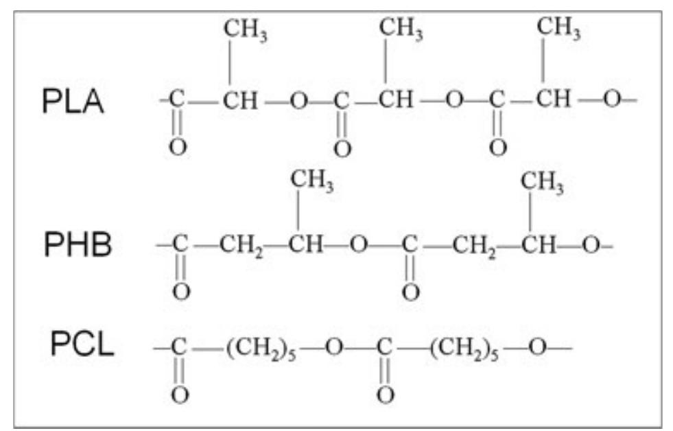 Pcl Polyester (PDF) Bioplastics from renewable resources: the benefits of ...