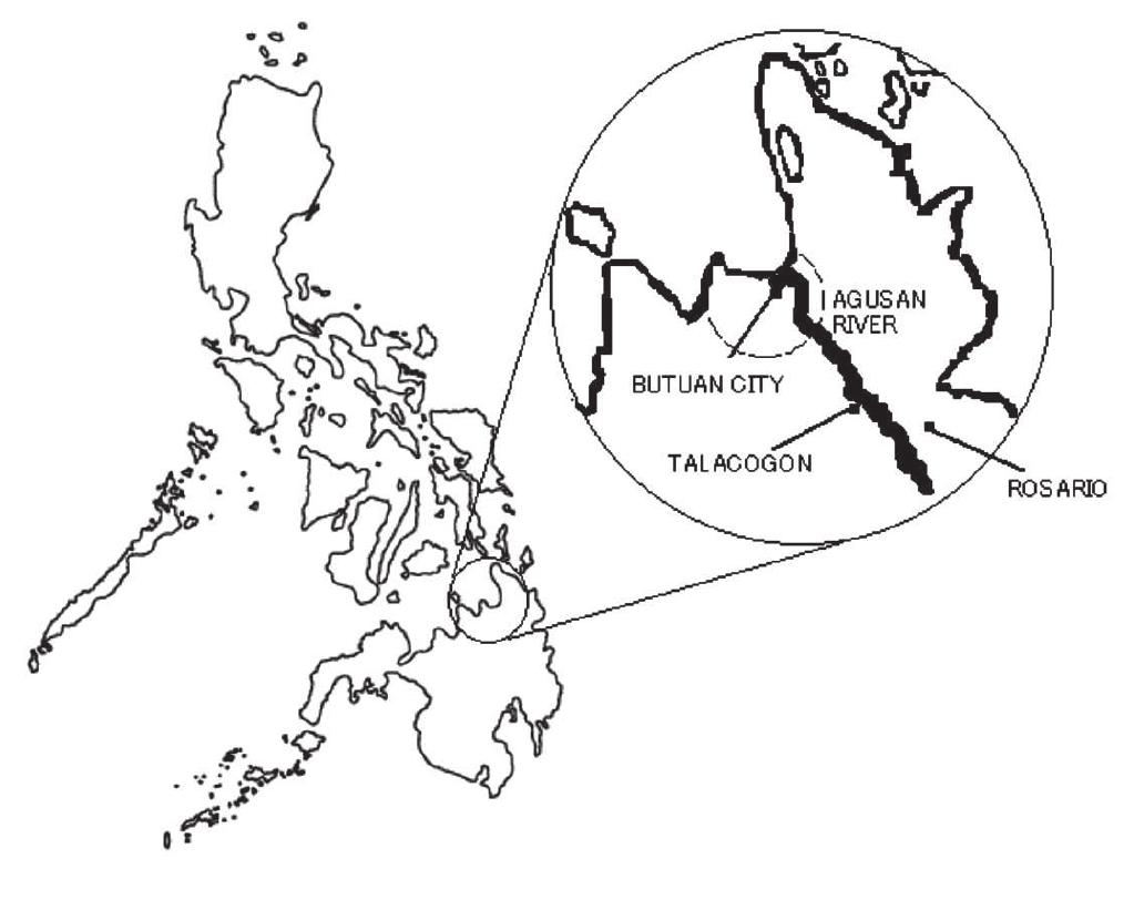 (PDF) The game of naming: A case of the Butuanon language and its ...