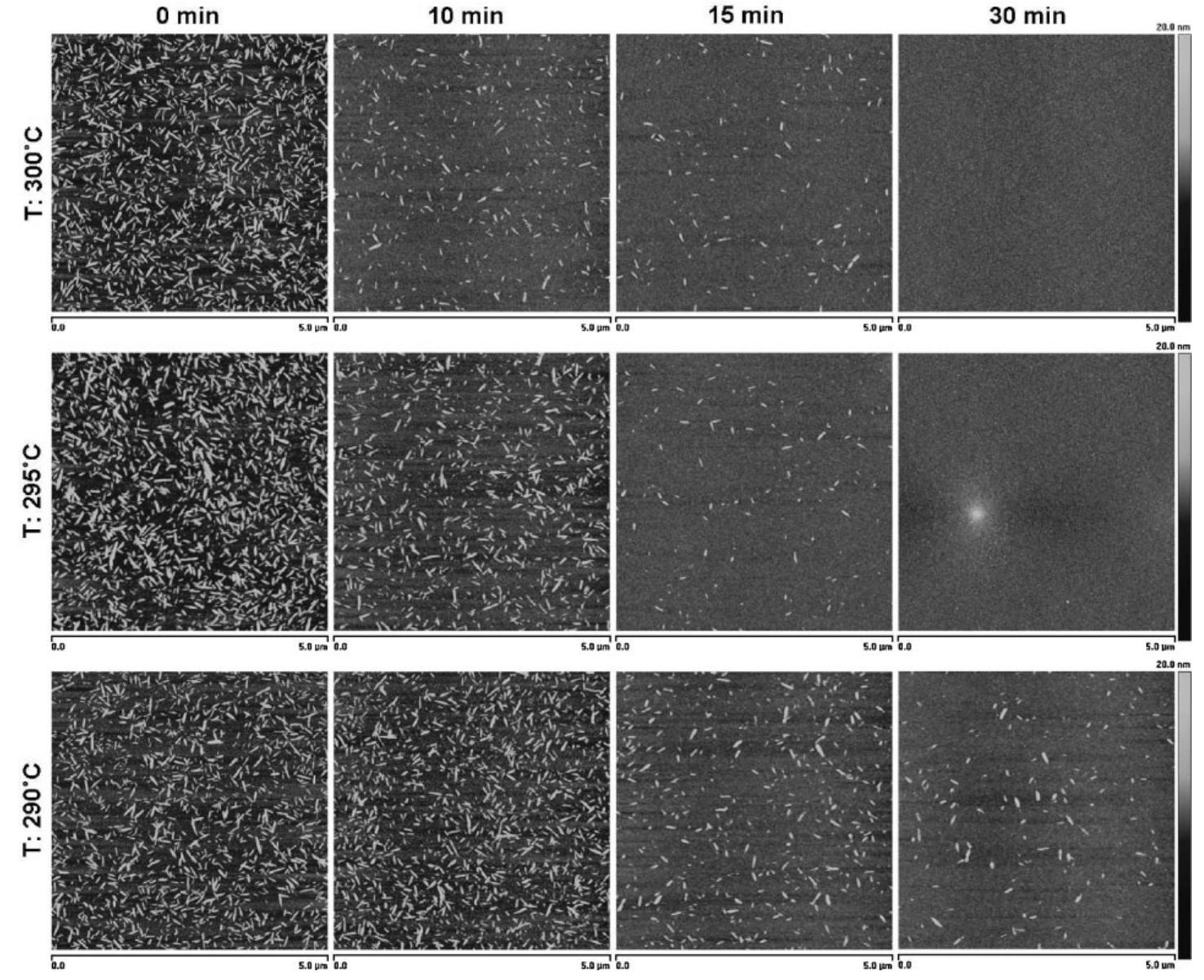 Comparison of afm height images of heat treated cncs