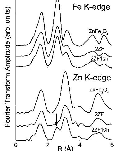 Fourier transforms of the exafs spectra fe and zn k edges of