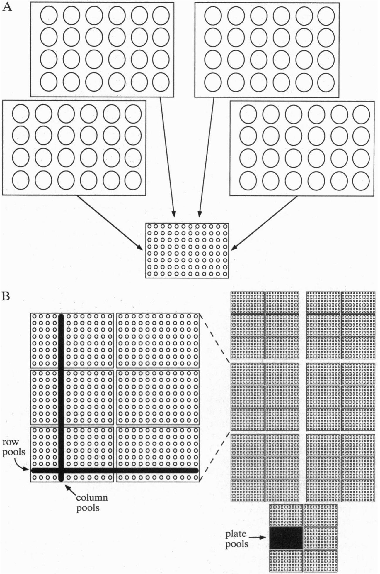 Fic. 1. schematic representation of cdna library