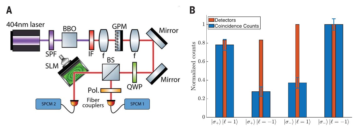 (PDF) Quantum entanglement of the spin and orbital angular momentum of ...