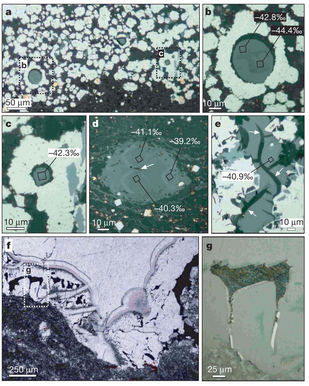 (PDF) Reassessing the first appearance of eukaryotes and cyanobacteria