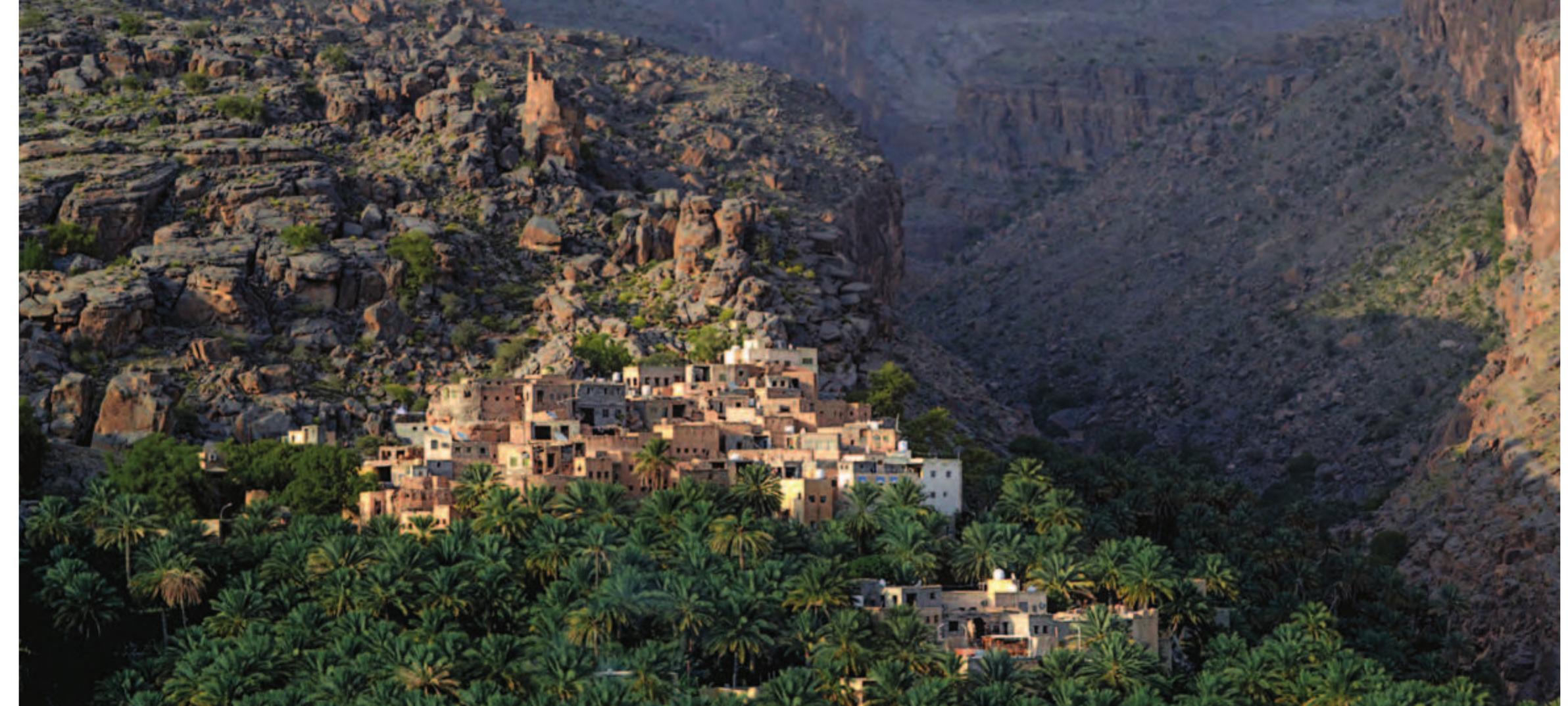 The mountain village of Misfat al-‘Abriyin with its terraced agricultural landscape in the foreground. The village, which includes extensive earthen construction, has been the focus of a heritage management and tourism development project and is the first implemented adaptive reuse plan in Oman, based ona cohesive regional strategy and a significance-based master plan. Photo: © ArCHIAM. 