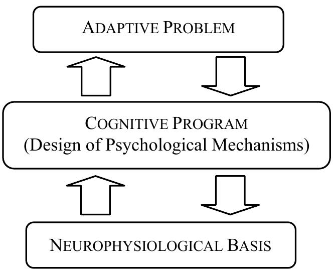 (PDF) Cuando el desarrollo importa: de la psicología evolucionista a la ...
