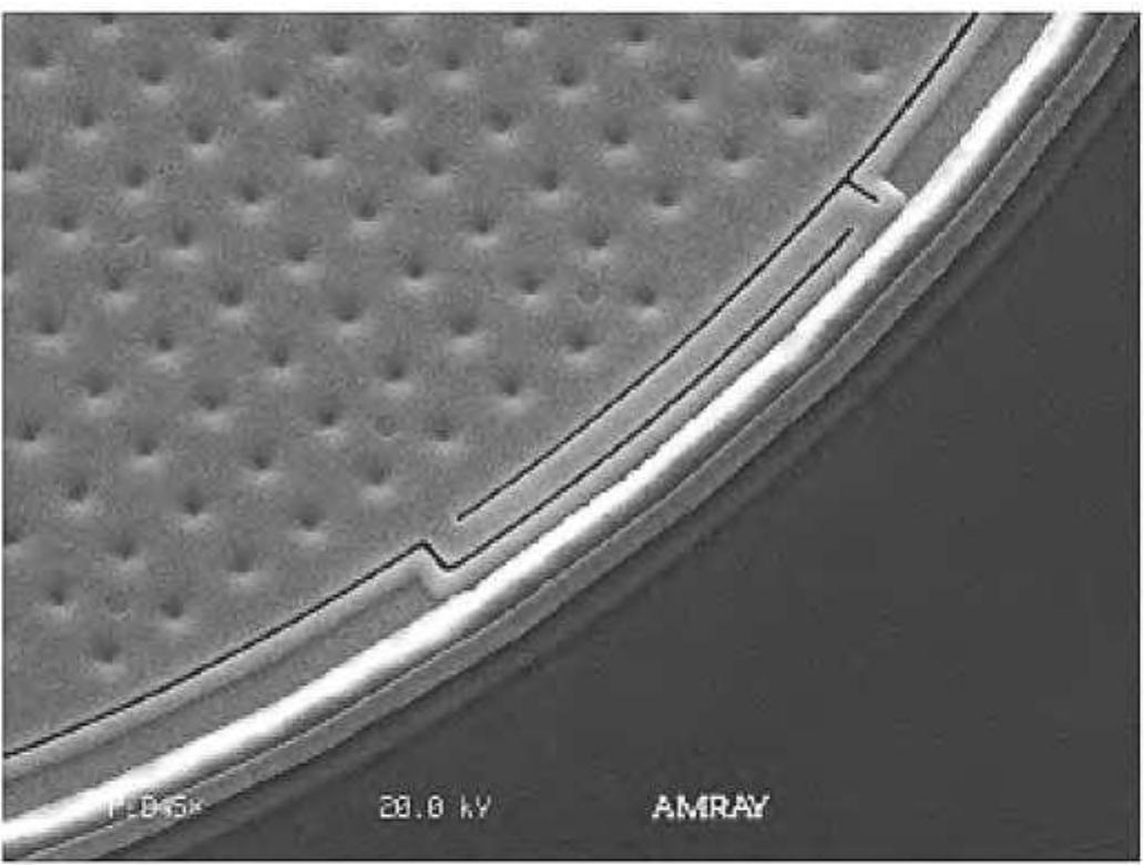 Scanning electron microscope micrograph of analog devices