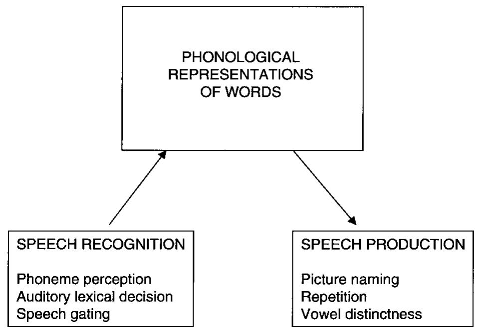 (PDF) Phonological representations, reading development and dyslexia ...