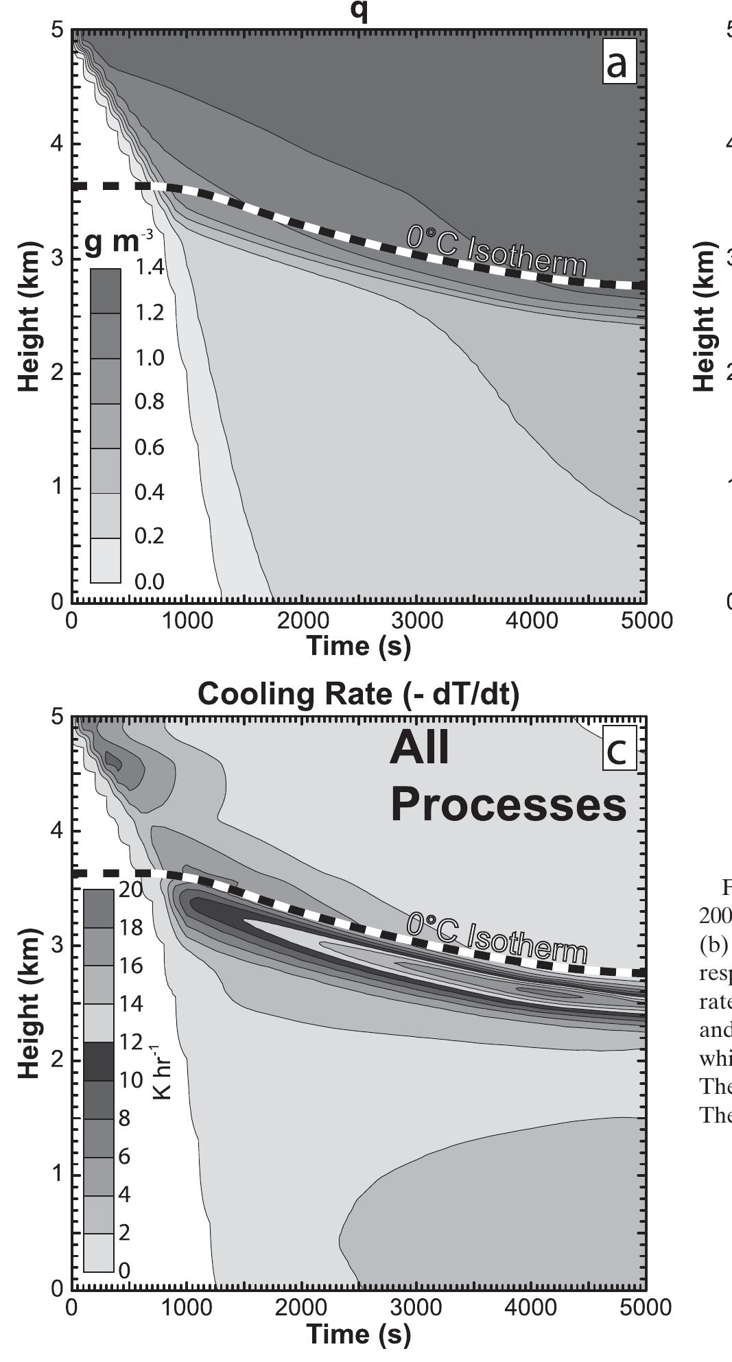 (PDF) Microphysical and Thermodynamic Structure and Evolution of the ...