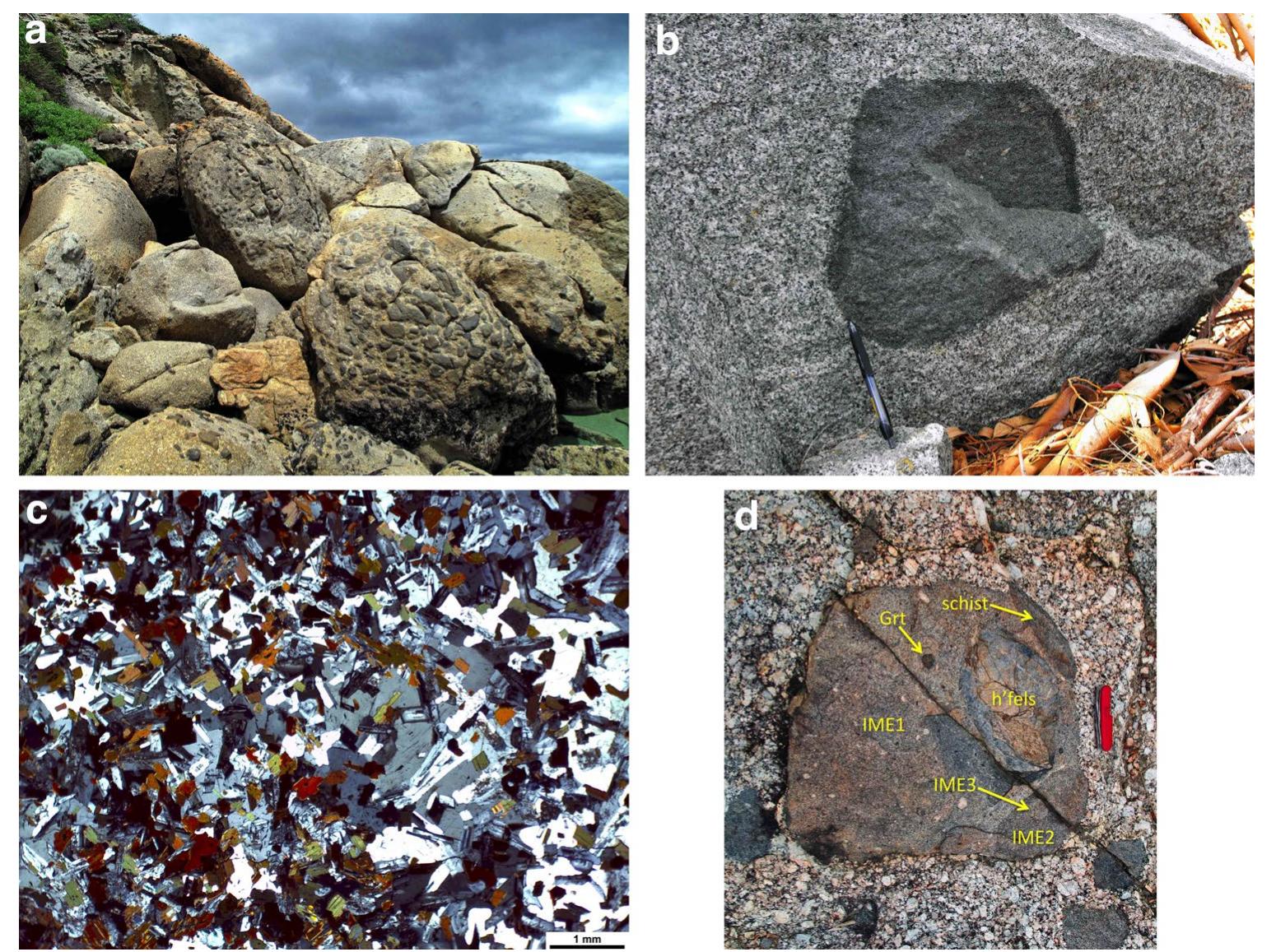 Subangle Rocks (PDF) Origins of igneous microgranular enclaves in granites: the ...
