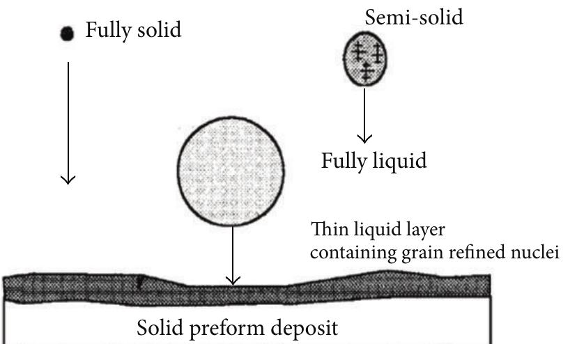 Schematic illustration of formation and structure of the