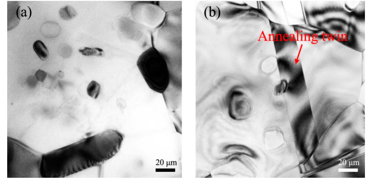 Tem images of ar800 sample. (a) b2 phases at grain