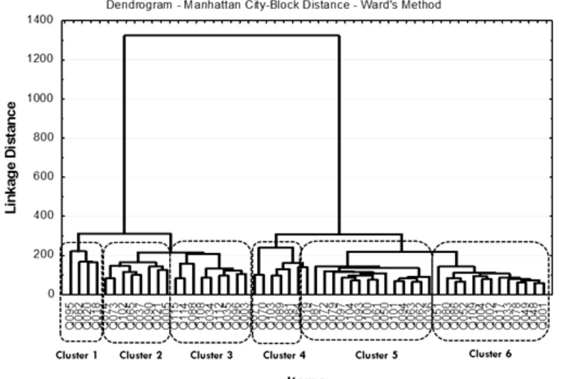 Fig. 3. Dendrogram for the items relating to Senge (1990, 2009) and the six clusters identified. 