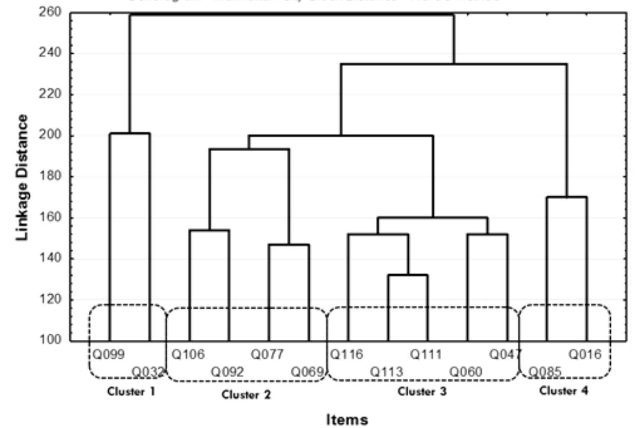 Fig. 6. Dendrogram for the items relating to Cooperrider and Whitney (2006) and the four clusters identified. 