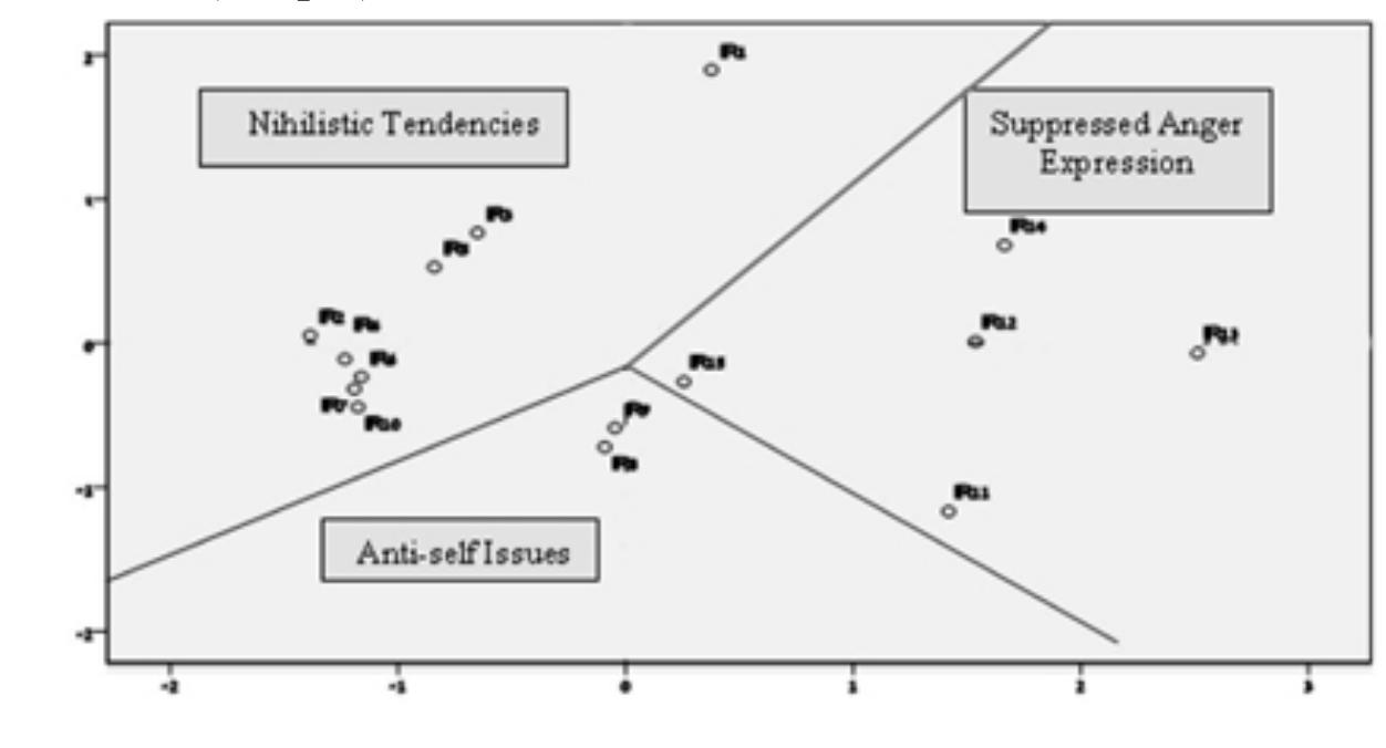 Fig. 3. Map of Internalized Racism Dimensions 