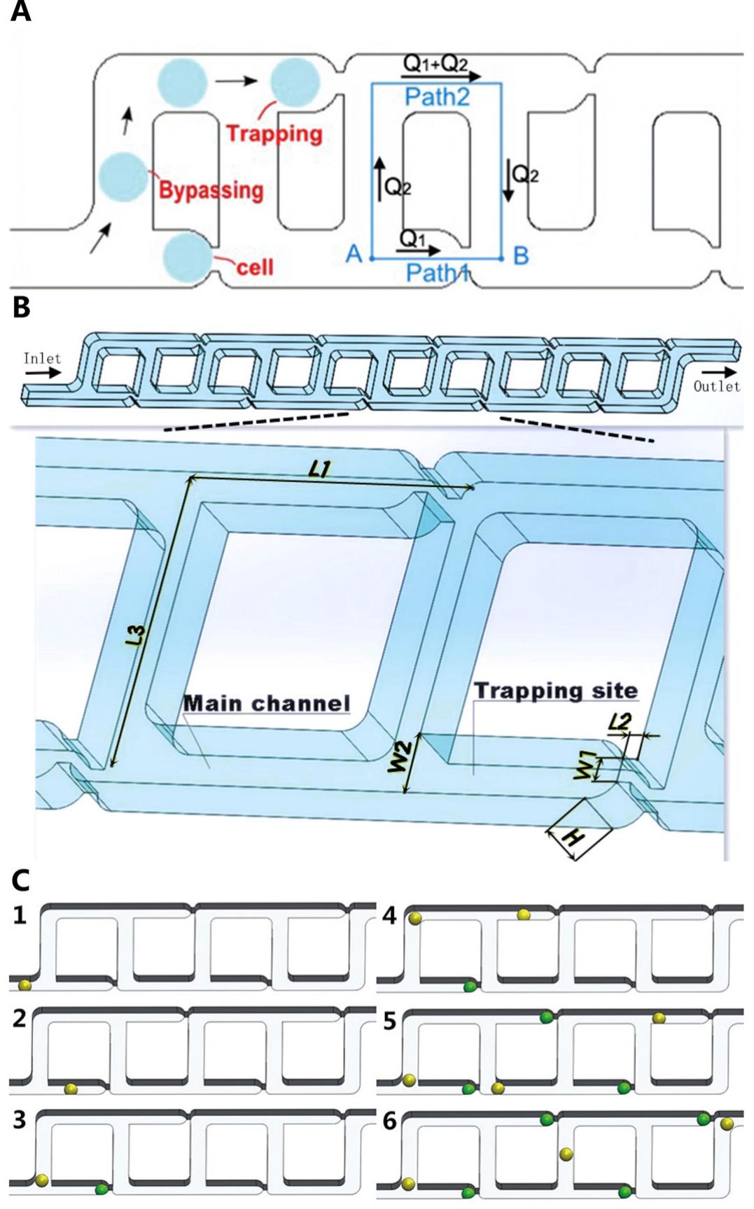 (PDF) A microfluidic device enabling high-efficiency single cell trapping