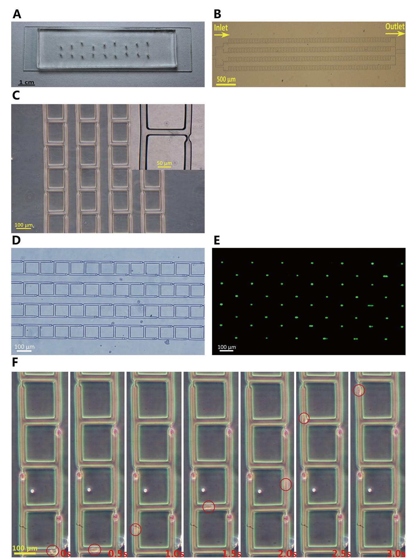 (PDF) A microfluidic device enabling high-efficiency single cell trapping