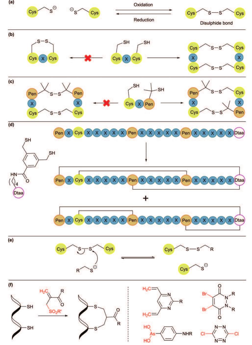 Figure 1 - from Approaches for peptide and protein