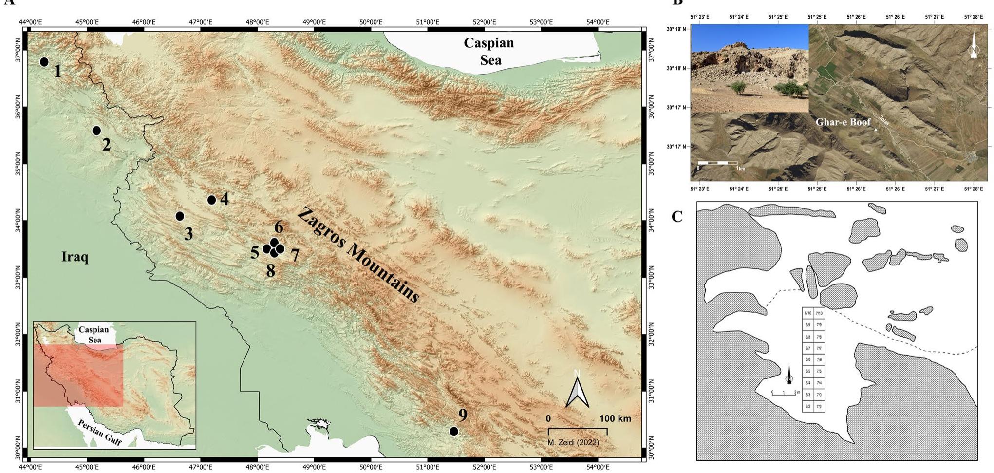 (PDF) Late Pleistocene environments in the southern Zagros of Iran and ...