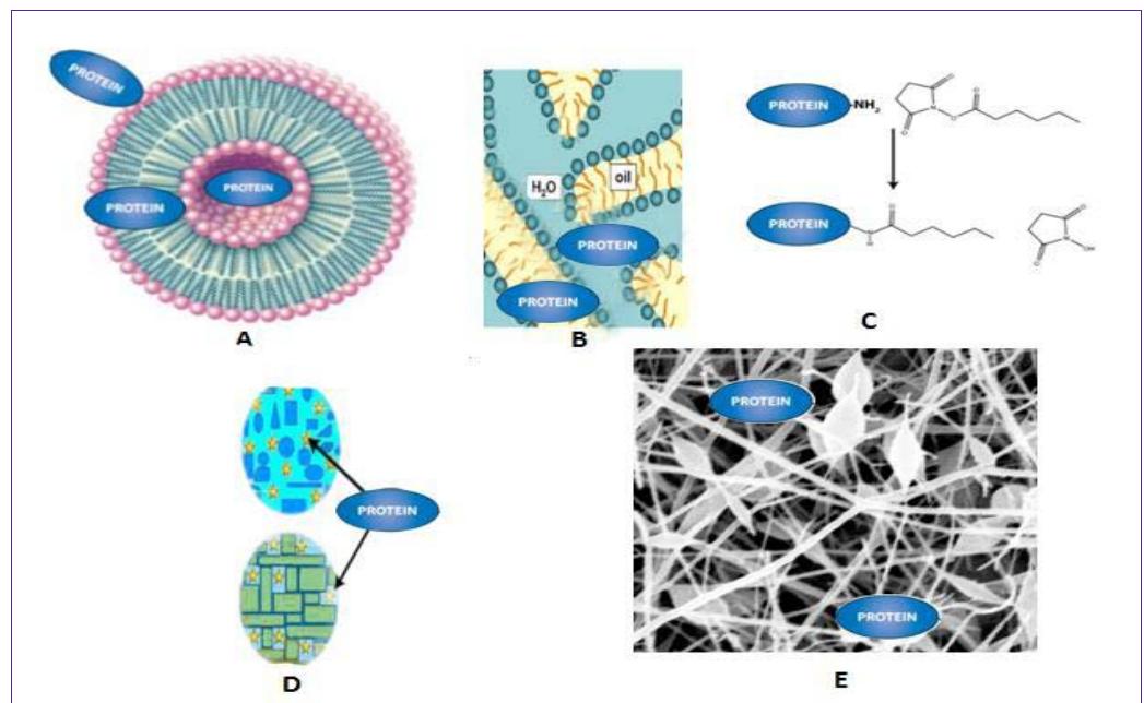 (PDF) Pharmaceutical Strategies for the Topical Dermal Delivery of ...